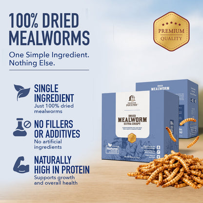 Dried Mealworms