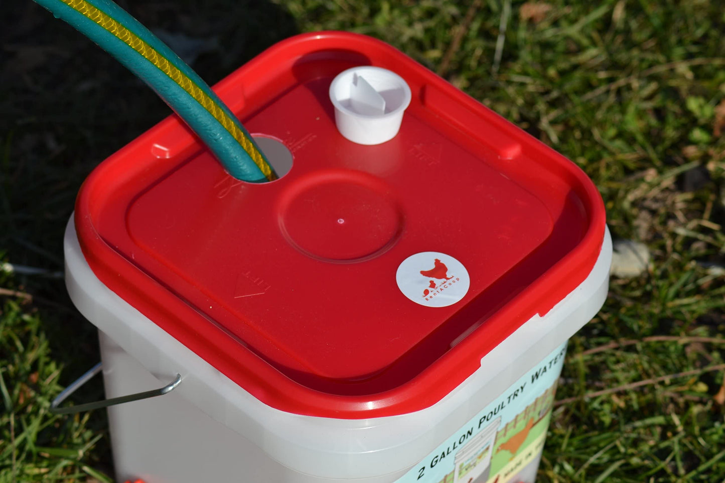 RentACoop 2 Gallon BPA-Free Plastic Bucket Chicken Waterer Set with 4 Horizontal Nipples - Corner Placement 2025 Version