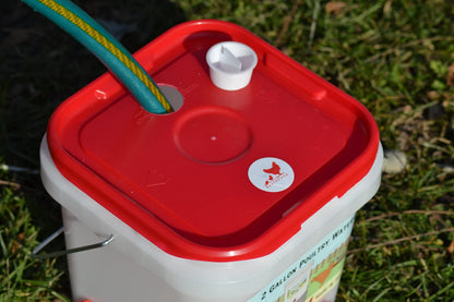 RentACoop 2 Gallon BPA-Free Plastic Bucket Chicken Waterer Set with 4 Horizontal Nipples - Corner Placement 2025 Version