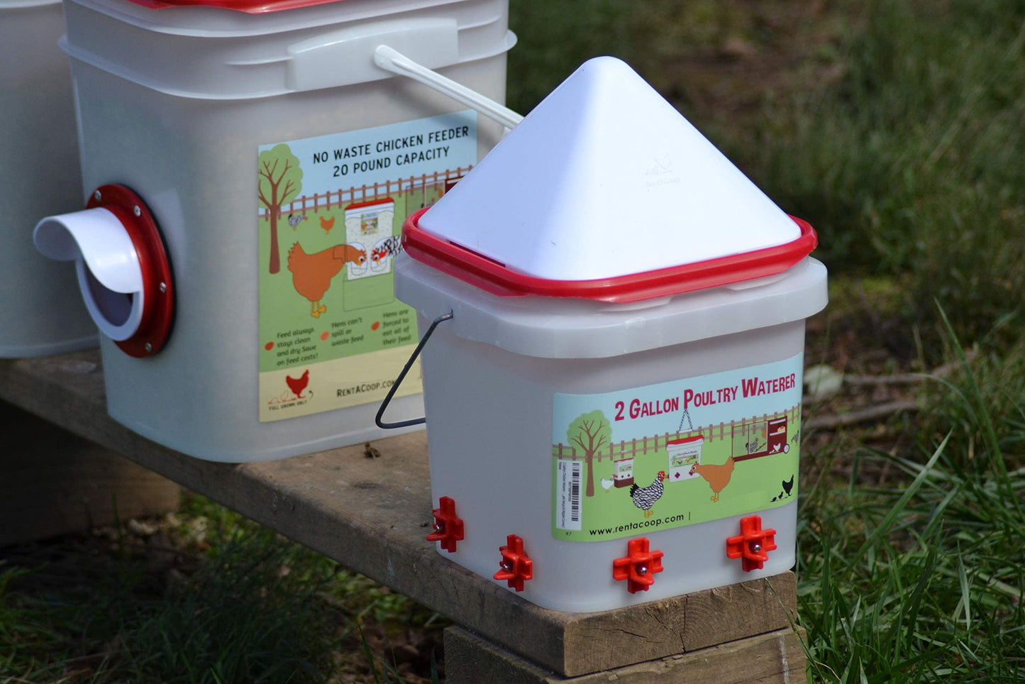 RentACoop 2 Gallon BPA-Free Plastic Bucket Chicken Waterer Set with 4 Horizontal Nipples - Corner Placement 2025 Version