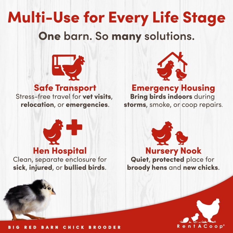 RentACoop Big Red Barn Chick Brooder