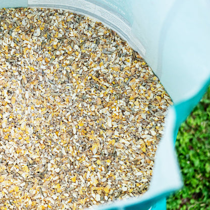 Scratch Grain