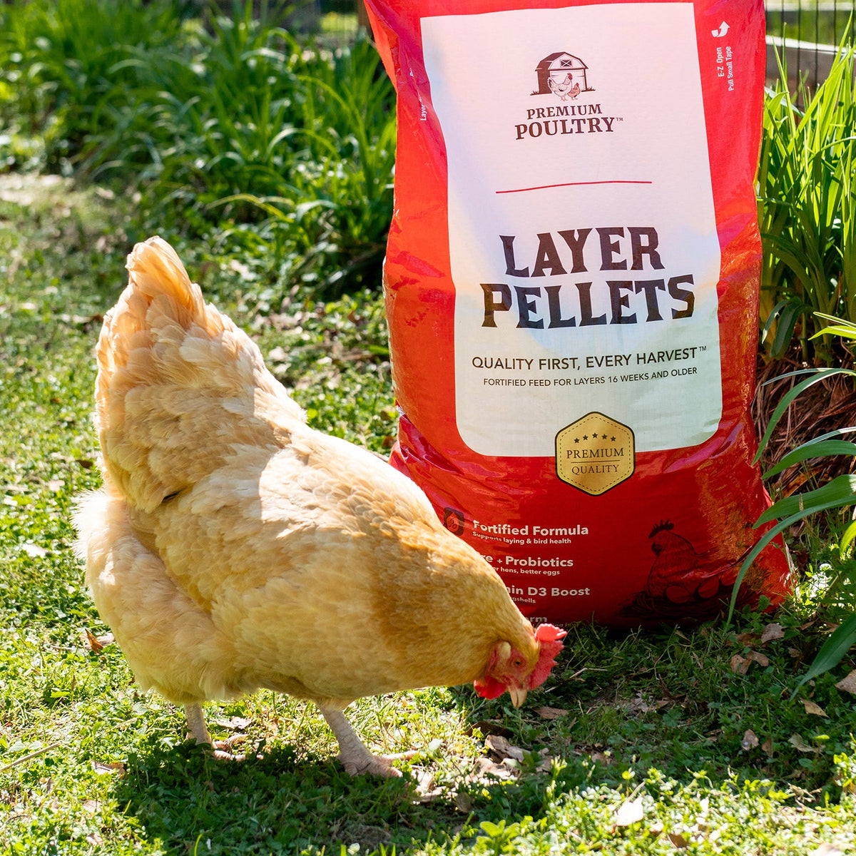 Layer Pellets