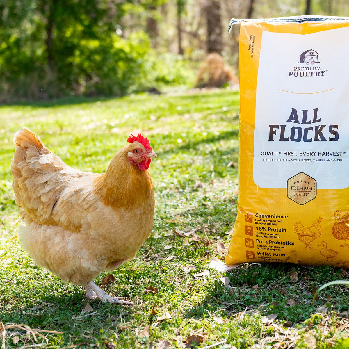 All Flocks Poultry Feed