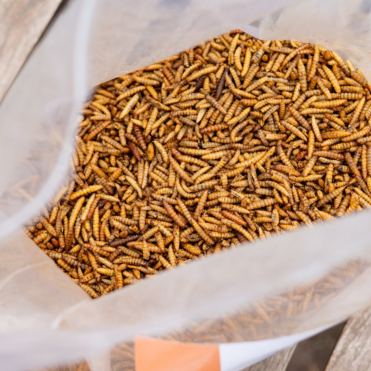 Dried Black Soldier Fly Larvae