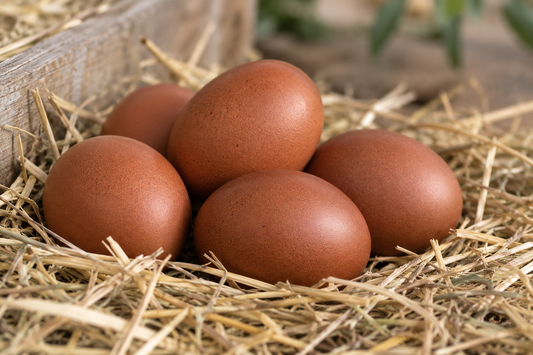 Colorful Egg Basket Bundle - (15 Female Chicks)