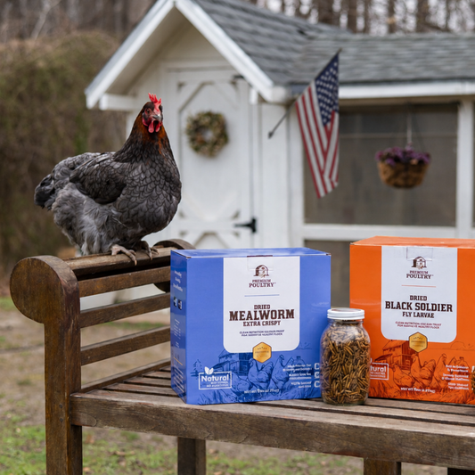 Protein & Calcium Bundle 2