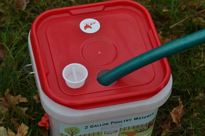 RentACoop 2 Gallon Chicken BPA-Free Plastic Bucket Waterer Set with 4 Horizontal Nipples - Center Placement - 2025 Version