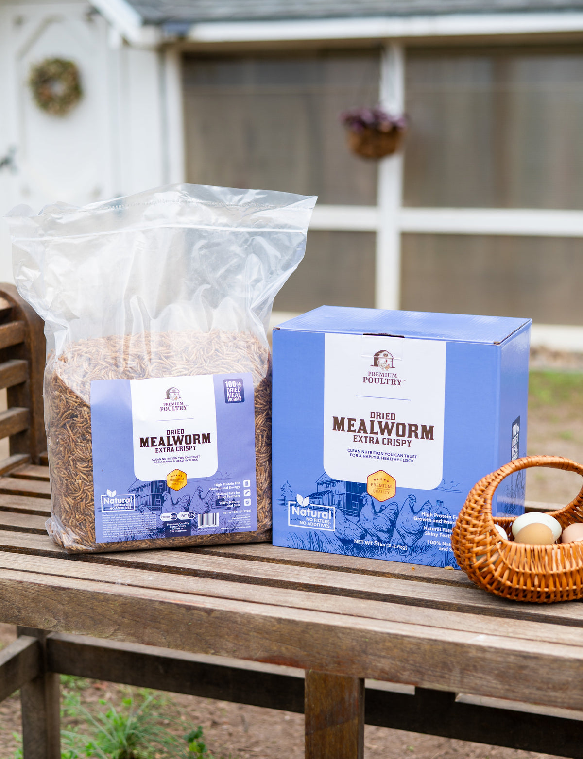 Backyard Chicken Starter Kit