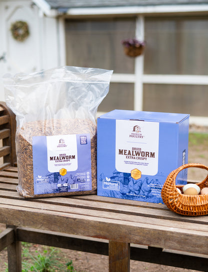 Backyard Chicken Starter Kit