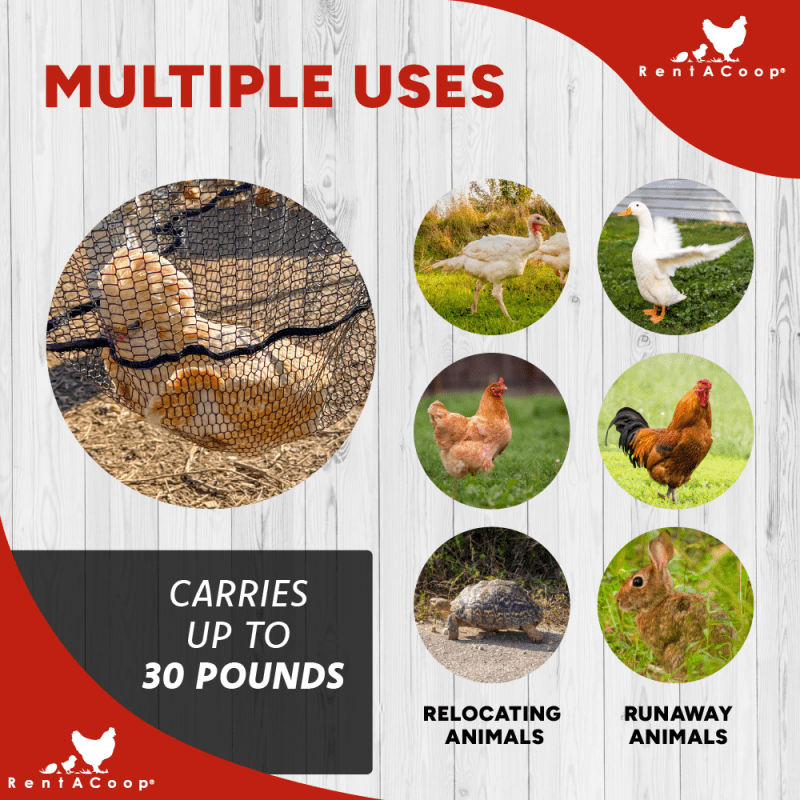 RentACoop Cluck Catcher Chicken Catching Net for All Poultry