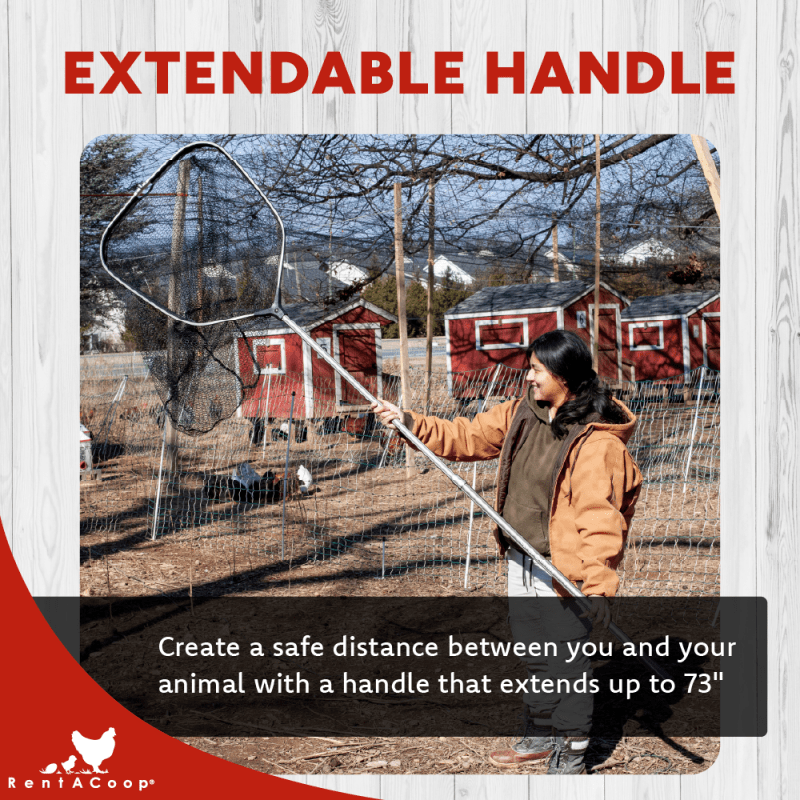 RentACoop Cluck Catcher Chicken Catching Net for All Poultry