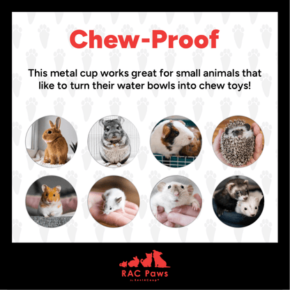 RAC Paws by RentACoop DIY Auto-Fill Metal Cup Waterer Kit 6-Pack - Great for Small Animals, Pets, Bunnies, Ferret, Chickens, Hamsters, Guinea Pigs, Rabbits, Chinchillas, Mice, Rats