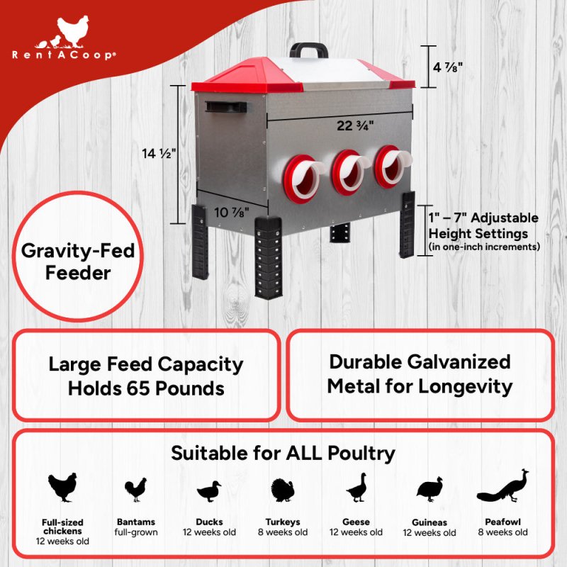 RentACoop Flock Feeder 65 6-Port Feeder