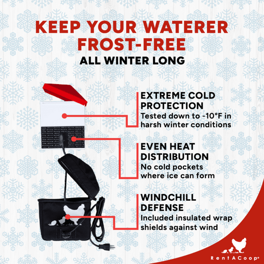 RentACoop Zero Chill Heated Drinker – 64 oz All-in-One Poultry Waterer with Heater & Insulated Cover