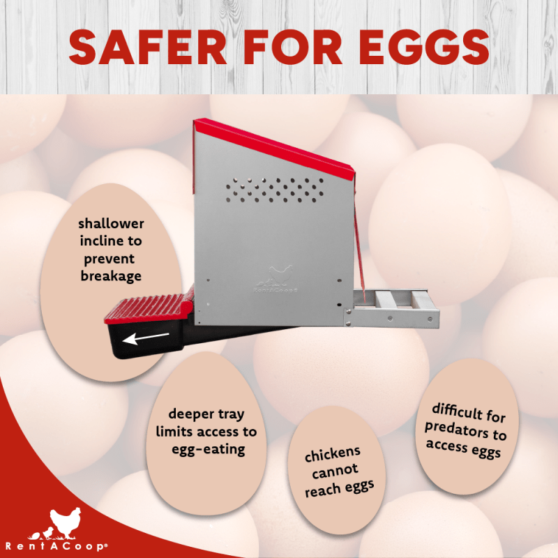 RentACoop Roll-Out Reversible Nesting Box Efficiency