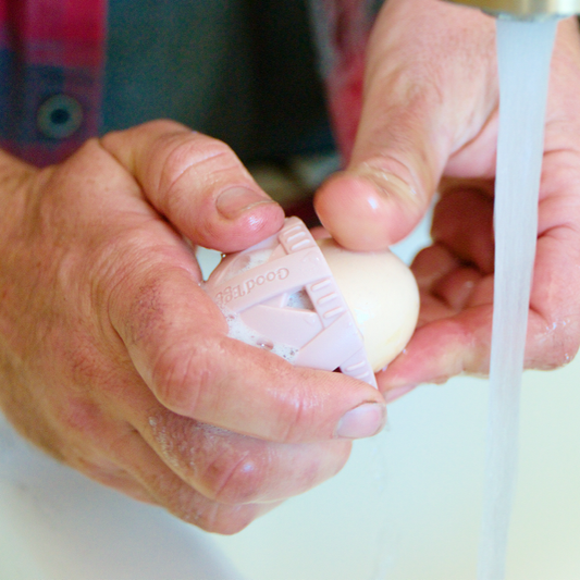 Deluxe Egg Cleaning Kit